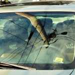 Sunny afternoon power pole reflection.