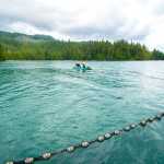 Edward Peele and Toni Rae Sanderson start to pull in the beach seine in front of Eek Inlet. Like many rural communities across Southeast Alaska, Hydaburg residents depend on healthy salmon runs to feed their families and fuel a vibrant culture. Photo by Bethany Goodrich.