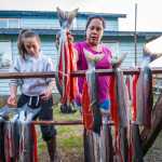 Jen Mooney hangs a carefully processed and brined sockeye salmon to dry before moving the fish into the smokehouse. Photo by Bethany Goodrich.