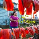 Jennifer Mooney keeps bugs off sockeye filets as they dry before being moved into the smokehouse. Photo by Bethany Goodrich.