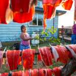 Ella Mooney takes over for her mother Jen and protects sockeye salmon from bugs.