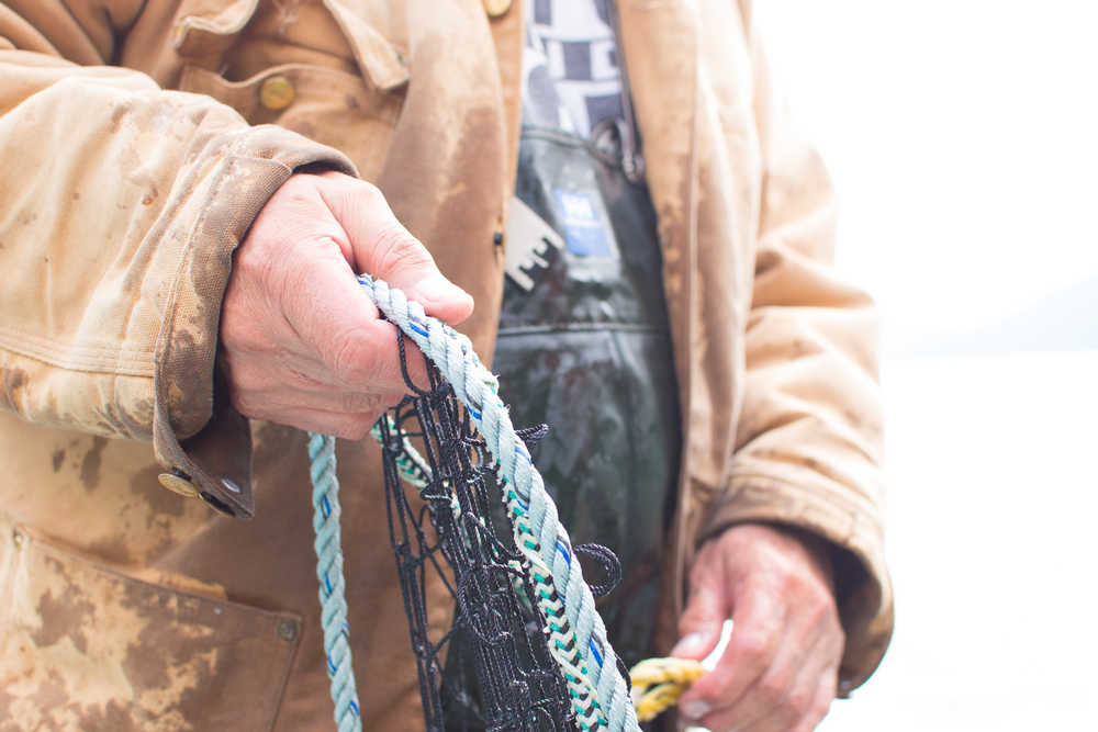 Edward Peele carefully untangles the beach seine at Eek Inlet. Photo by Bethany Goodrich.