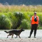 SEADOGS handlers Liam Higgins, left, and Allen Butner search for a possible missing woman Monday after George Benjamin Young, 40, was found dead along Lemon Creek on Sunday. Police said a second body was discovered Tuesday evening near the North Douglas boat launch.