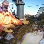 This July 31, 2010 photo shows James Orr, research fishery biologist in Norton Sound. Federal scientists sampling commercial fish species off Alaska's Aleutian Islands keep finding new species. The Alaska Fisheries Science Center, part of the National Oceanic and Atmospheric Administration, has helped name more than a dozen new species over the last decade.