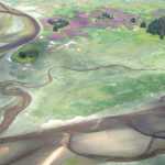 Fireweed impressionism at the Juneau airport flats. Photo by Kathleen Samalon.