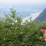 Glenn Haight nears the finish at the Mount Roberts Tram Run Saturday.