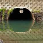 Wetlands Passage: a culvert under Egan Drive. Photo by Brooke Daly.