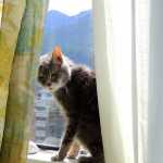 Nineteen years of love, by Nola Michelle.