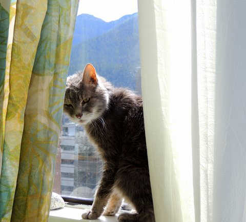 Nineteen years of love, by Nola Michelle.