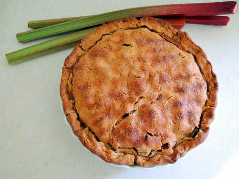 Rhubarb love, by Nola Michelle.