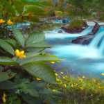 Photographer Kent Chastain, who recently moved to Juneau from Kauai, Hawaii, will be displaying his work at the Juneau Artist's Gallery for August First Friday. Photos courtesy of Kent Chastain.