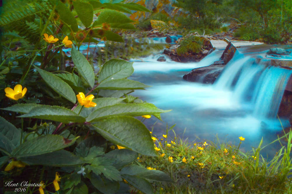 Photographer Kent Chastain, who recently moved to Juneau from Kauai, Hawaii, will be displaying his work at the Juneau Artist's Gallery for August First Friday. Photos courtesy of Kent Chastain.