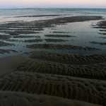 Tide and sand at Chatham Light Beach.