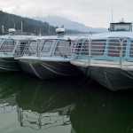 Three Dolphin Jet Boat Tours whale-watching boats tied up at the Statter Memorial Boat Harbor in Auke Bay on Monday. One of the companies boat sunk on the south end of Aaron Island on Sunday. Eighteen people were rescued with one minor injury reported.