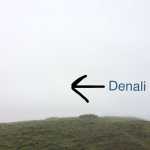 The view of Denali was breathtaking.