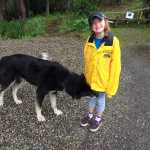 Siena Farr with a sled dog met on the Farr family Great Alaskan Staycation.