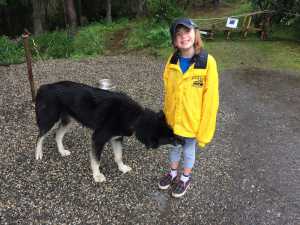 Siena Farr with a sled dog met on the Farr family Great Alaskan Staycation.