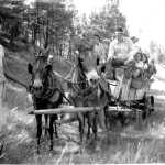 The chuck wagon which Berg and others took on camping trips with students - and "the two crazed mules," Hee and Haw. On the left is Sanford Woundedfoot, the brother of Sandra Woundedfoot. Sandra is the girl for whom Berg named "Sandra's Hands."
