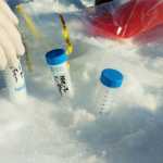Snow samples taken on the Mendenhall Glacier.
