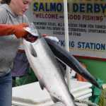 Roberta Eastwood pitches coho salmon into a tote Friday at the Auke Bay weigh station of the Territorial Sportsmen Golden North Salmon Derby.