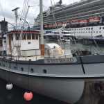 The M/V Westward once featured harpoons for the sport hunting of humpback whales mounted on its deck. Now, it does cruises of a much different sort.