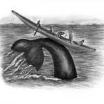 One of the illustrations in "Little Whale," by Roy A. Peratrovich Jr.