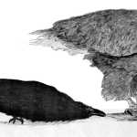 A raven steals from an eagle. Illustration by Roy A. Peratrovich Jr., author of "Little Whale."