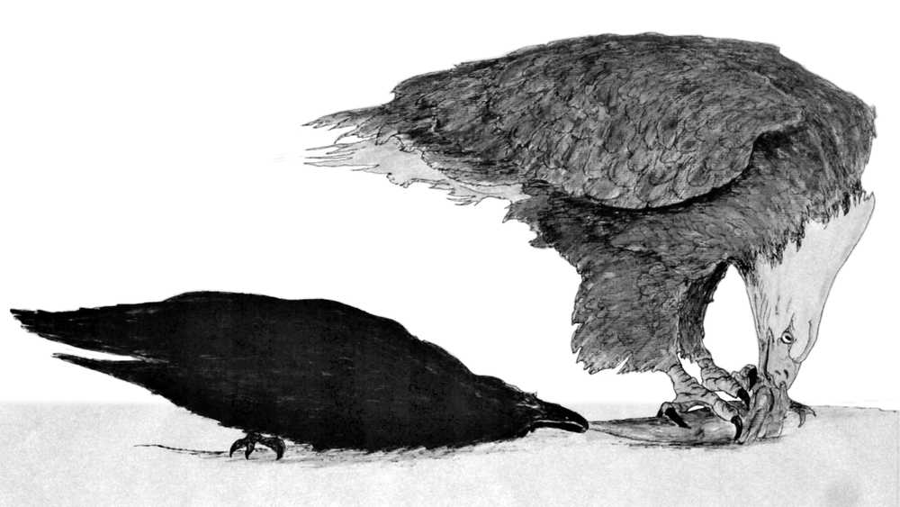 A raven steals from an eagle. Illustration by Roy A. Peratrovich Jr., author of "Little Whale."