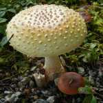 Beautiful, warts and all.