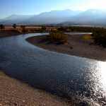 This Sunday, Aug. 21, 2016, photo shows the Yellowstone River near Pray, Mont. The normally-busy waterway has been closed to fishing, boating and all other activities after a contagious parasite caused a massive fish kill. (AP Photo/Matthew Brown)