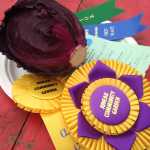 A prize winning head of cabbage.