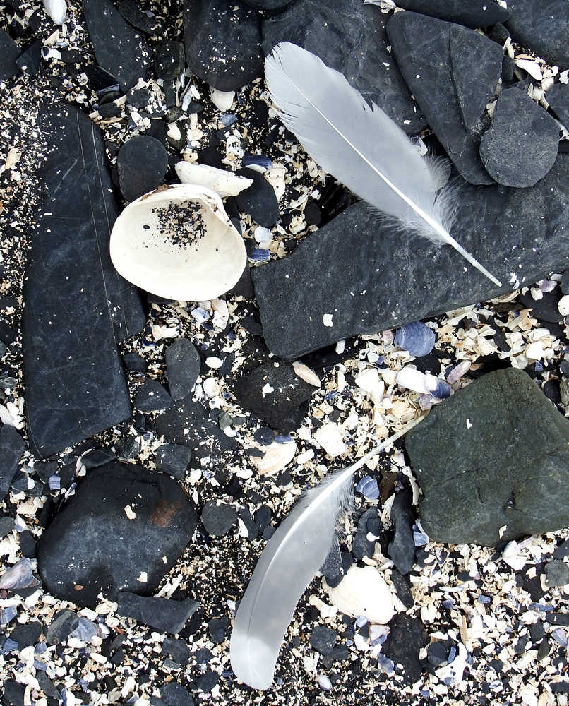 Beach still life at Outer Point in Juneau.
