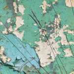 Layers of paint on a late summer's day.