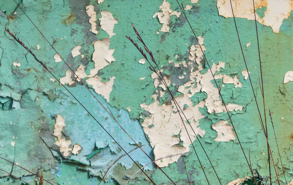 Layers of paint on a late summer's day.