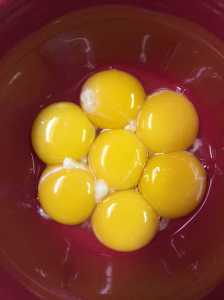 Making Thanksgiving Day pies at Douglas Community United Methodist Church.
