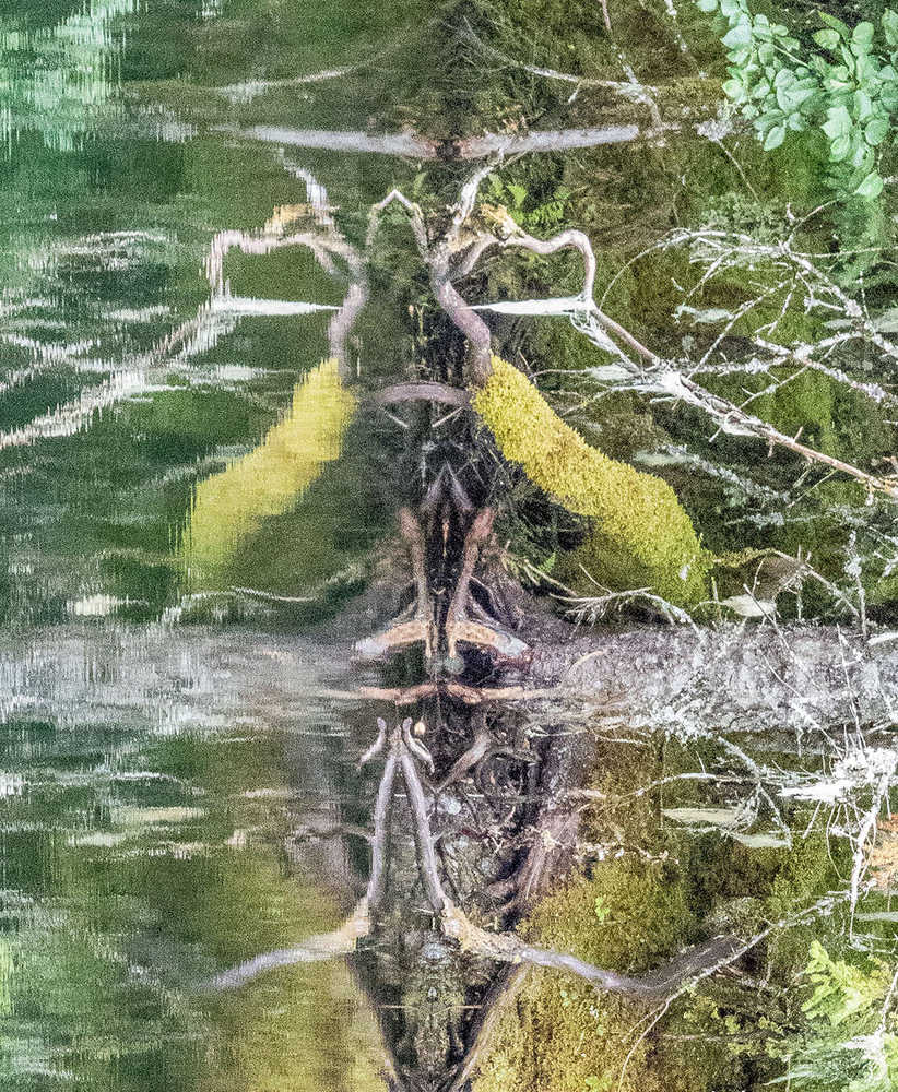 Creature of the lake.