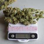 One oz. of dried marijuana