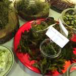 Foraged foods available for tastine during Sunday's dinner at Petersburg's Rainforest Festival.