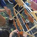 Karen Dillman led a dyeing class at Petersburg's Rainforest Festival using lichens and mushrooms.