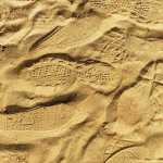 Comings and goings: footprints in the sand on the Sleeping Bear Dunes, Michigan.