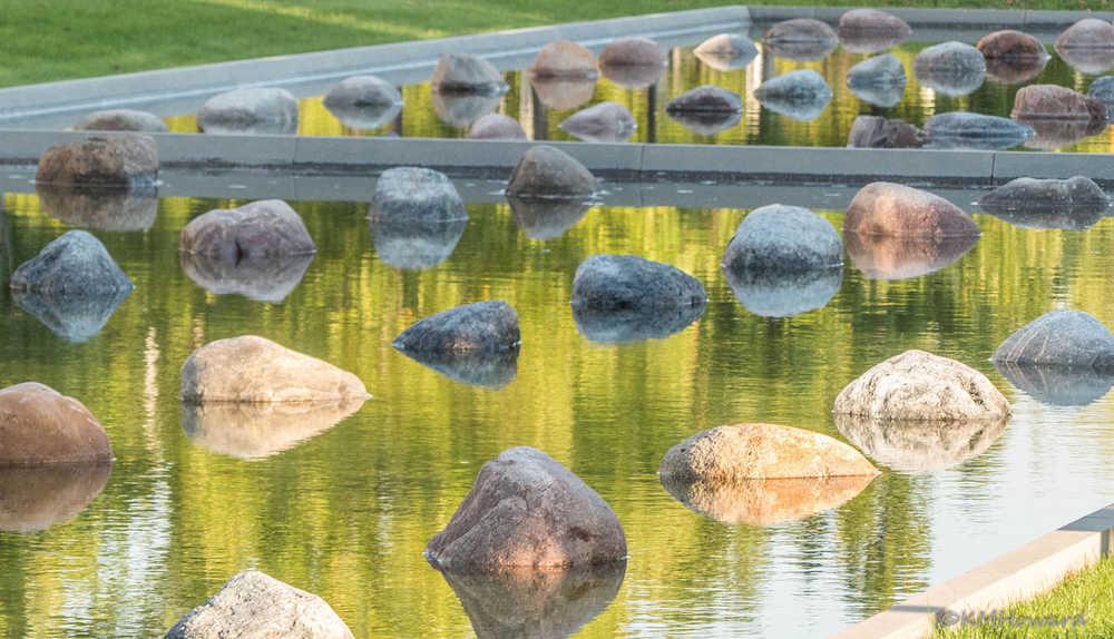 Morning light on a reflecting pond.