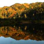Golden autumn reflections in Cropley Lake on Sept. 28.