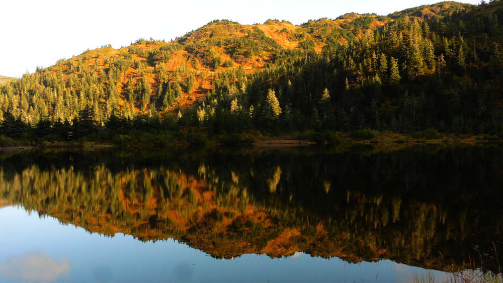 Golden autumn reflections in Cropley Lake on Sept. 28.