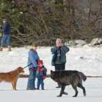 Romeo howls in front of the Mendenhall Glacier in Juneau. The black wolf who frequented the Mendenhall Glacier area - and was known for his interactions with local dogs and people - will be the center of an upcoming exhibit  at the Mendenhall Glacier Visitor Center on wolves. The exhibit focuses on wolves, not on any particular wolf.