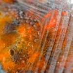 A jellyfish adds color and texture to the beach.