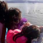 Juneau Girl Scouts watch whales on Allen Marine tour.