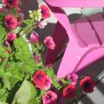 Flowers and a patio chair outside a bed and breakfast in Skagway.