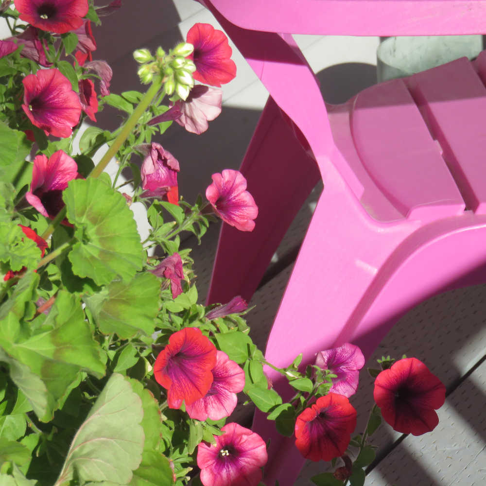 Flowers and a patio chair outside a bed and breakfast in Skagway.