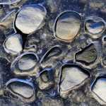 Rocks embedded in ice, Mendenhall Glacier.