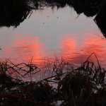Sunset clouds reflected in a tidepool.